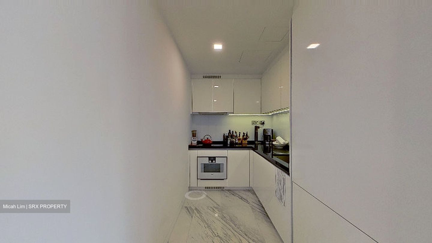 Wallich Residence At Tanjong Pagar Centre (D2), Apartment #579269251